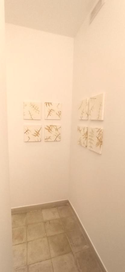 Apartament Casa Nella Pietra Viva Bari Zewnętrze zdjęcie